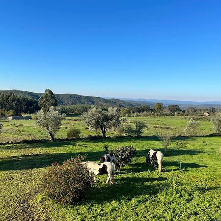 Quinta Da Barroca Do Cabo Bed & Breakfast Azere  ภายนอก รูปภาพ